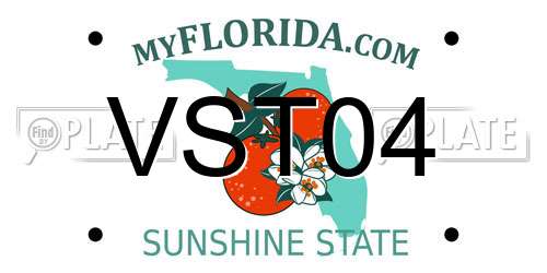 VST04 Florida License Plate
