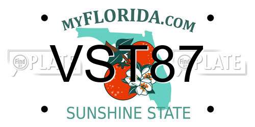 VST87 Florida License Plate