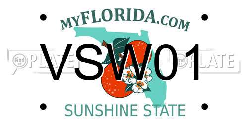 VSW01 Florida License Plate