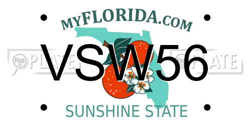 VSW56 Florida License Plate