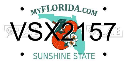 VSX2157 Florida License Plate