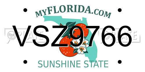 VSZ9766 Florida License Plate