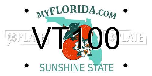 VT100 Florida License Plate