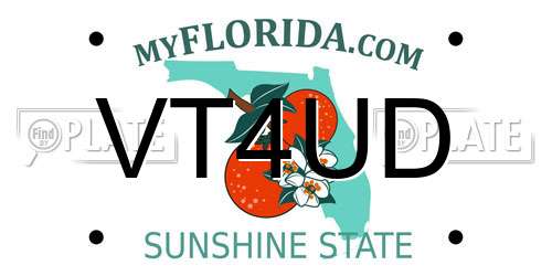 VT4UD Florida License Plate