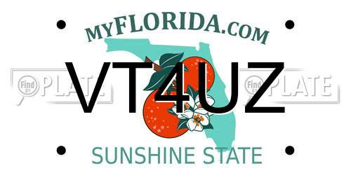 VT4UZ Florida License Plate