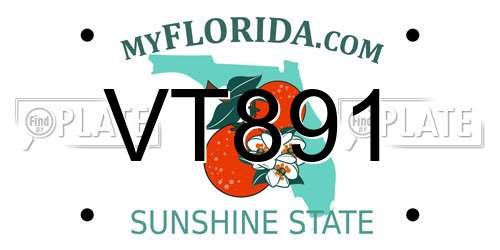 VT891 Florida License Plate