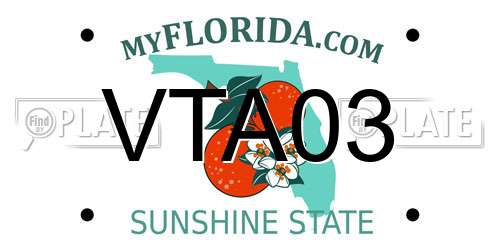 VTA03 Florida License Plate