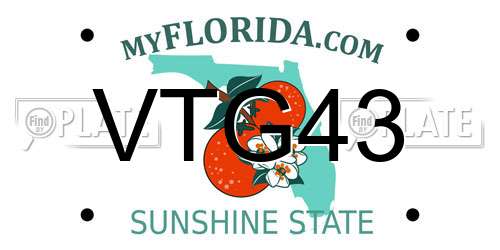 VTG43 Florida License Plate