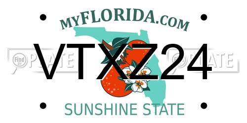 VTXZ24 Florida License Plate