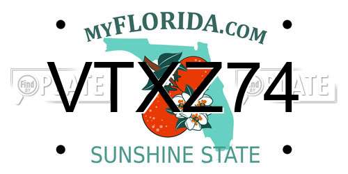 VTXZ74 Florida License Plate