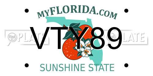 VTY89 Florida License Plate