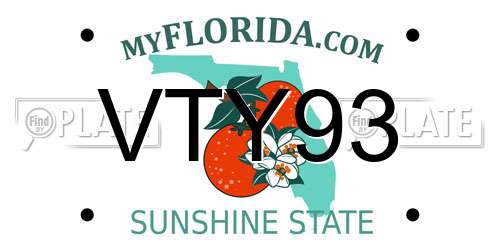 VTY93 Florida License Plate