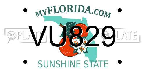 VU829 Florida License Plate