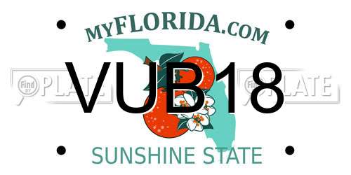 VUB18 Florida License Plate