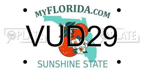 VUD29 Florida License Plate