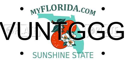 VUNTGGG Florida License Plate