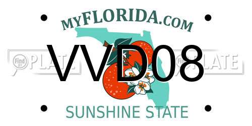 VVD08 Florida License Plate