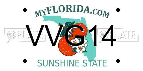 VVG14 Florida License Plate