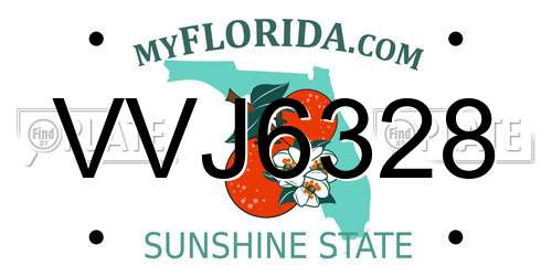 VVJ6328 Florida License Plate