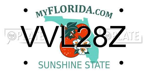 VVL28Z Florida License Plate