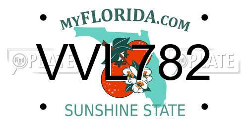 VVL782 Florida License Plate