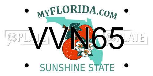 VVN65 Florida License Plate