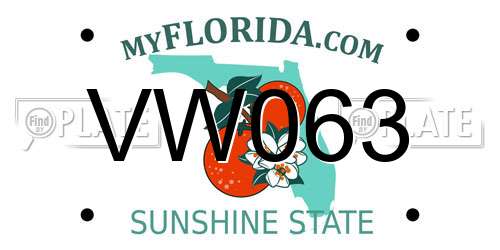 VW063 Florida License Plate
