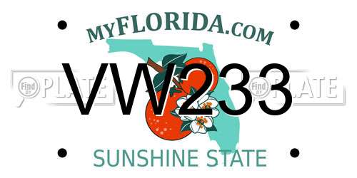 VW233 Florida License Plate