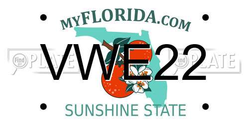 VWE22 Florida License Plate