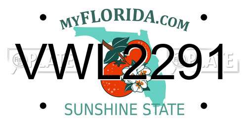 VWL2291 Florida License Plate