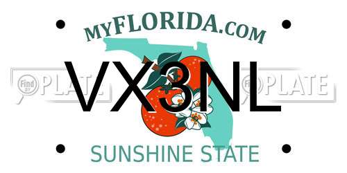 VX3NL Florida License Plate
