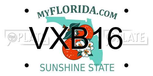 VXB16 Florida License Plate