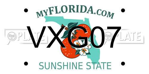 VXG07 Florida License Plate