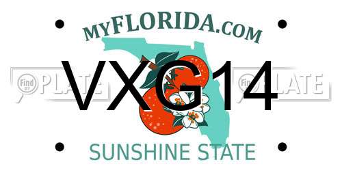 VXG14 Florida License Plate