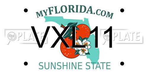 VXL11 Florida License Plate