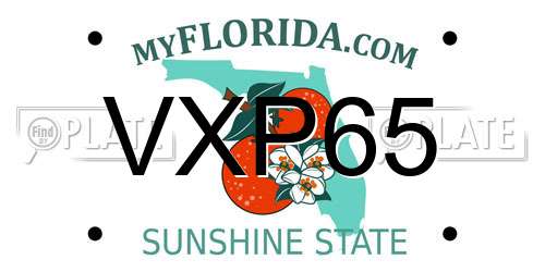 VXP65 Florida License Plate