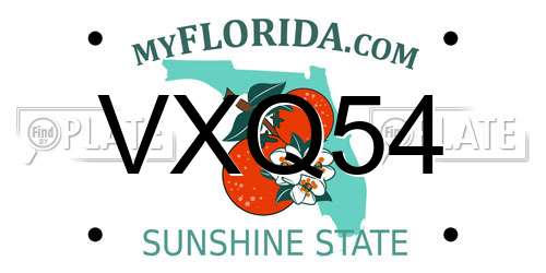 VXQ54 Florida License Plate