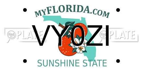 VY0ZI Florida License Plate