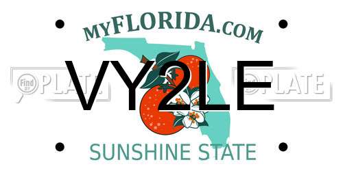 VY2LE Florida License Plate