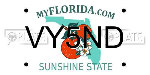 VY5ND Florida License Plate