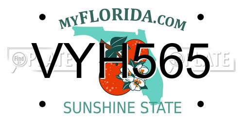 VYH565 Florida License Plate