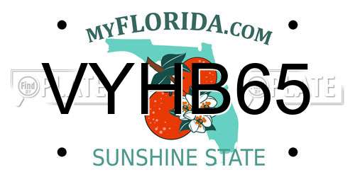 VYHB65 Florida License Plate