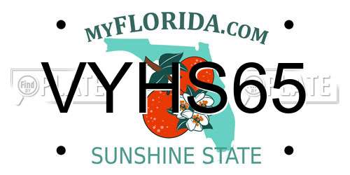 VYHS65 Florida License Plate