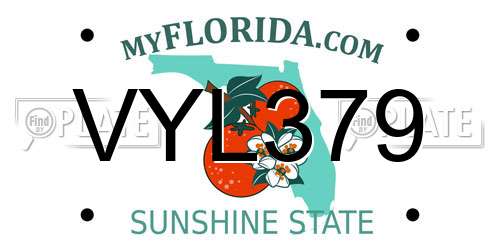 VYL379 Florida License Plate