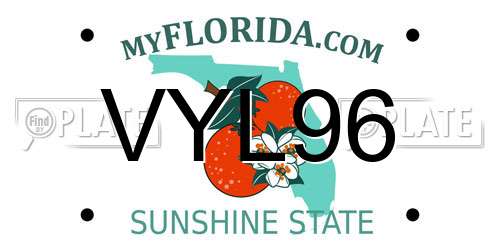 VYL96 Florida License Plate