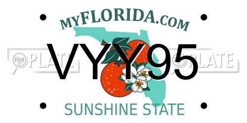 VYY95 Florida License Plate