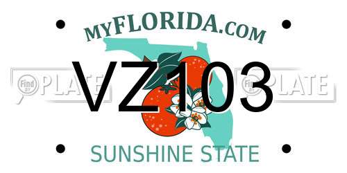 VZ103 Florida License Plate