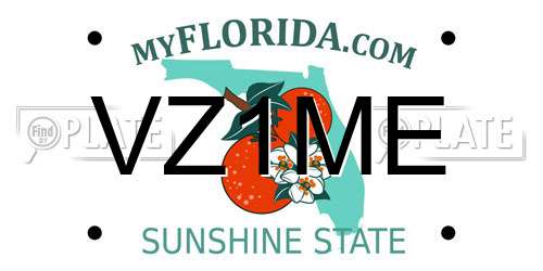 VZ1ME Florida License Plate