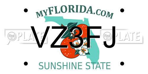 VZ3FJ Florida License Plate