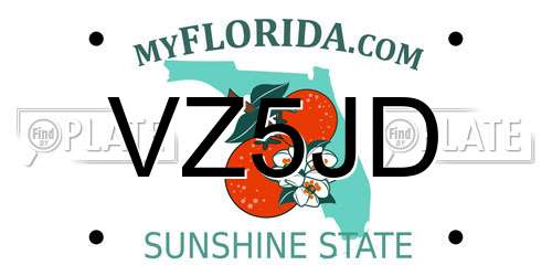 VZ5JD Florida License Plate